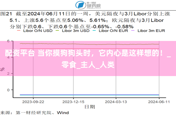 配资平台 当你摸狗狗头时，它内心是这样想的！_零食_主人_人类