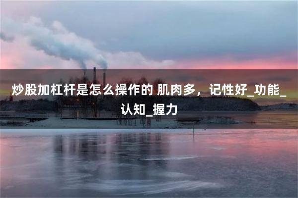 炒股加杠杆是怎么操作的 肌肉多，记性好_功能_认知_握力