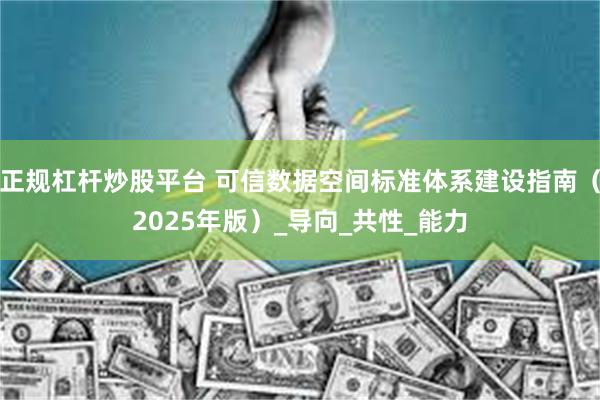 正规杠杆炒股平台 可信数据空间标准体系建设指南（2025年版）_导向_共性_能力